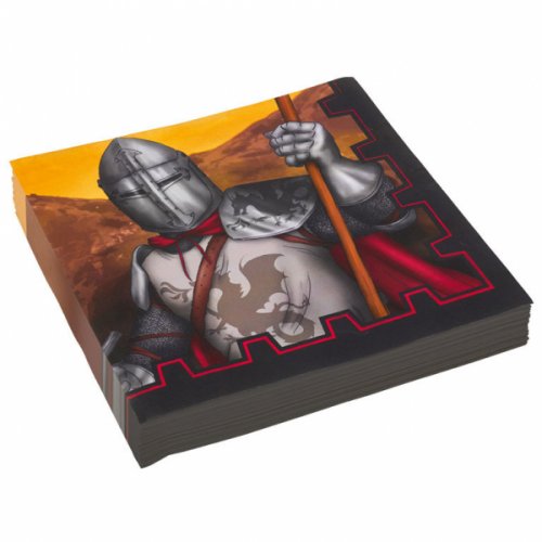 20 Napkins Knights Fun 33 cm