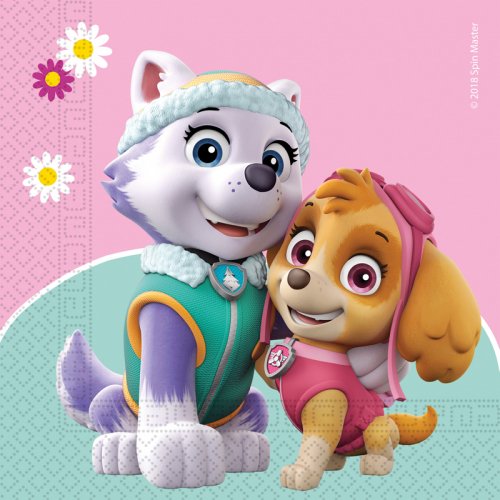 2 bicchieri in plastica riutilizzabile rosa Paw Patrol™ - Vegaooparty