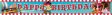 Foil Banner 4.65m