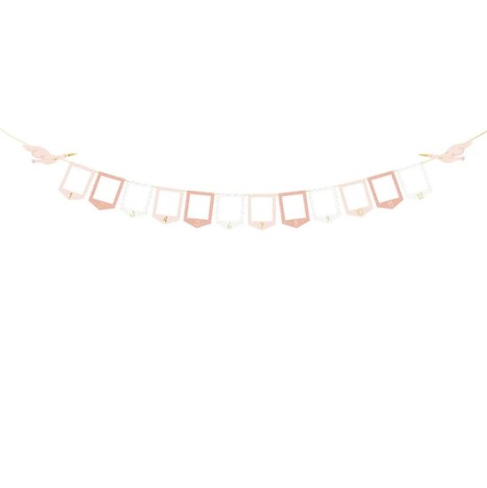 1st Birthday Pink Stork Photo Garland DIY