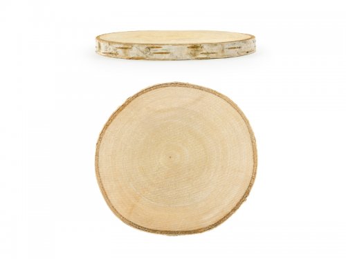 Tree Slices (2 pcs)