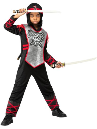 Dragon Ninja Costume