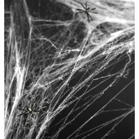 Spider Web White Decoration 60gr