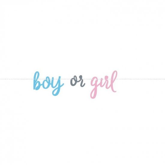 Banner Boy or Girl 213cm
