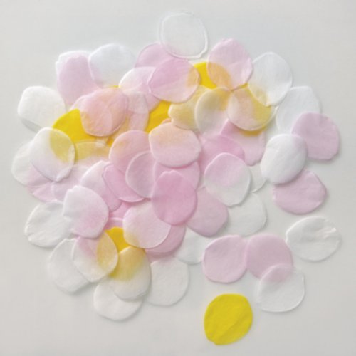 Rose Petal Wedding Confetti Rose Petal Wedding Confetti