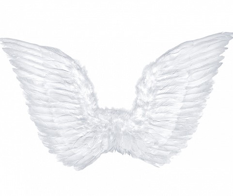 Angel Wings 75 x 45cm